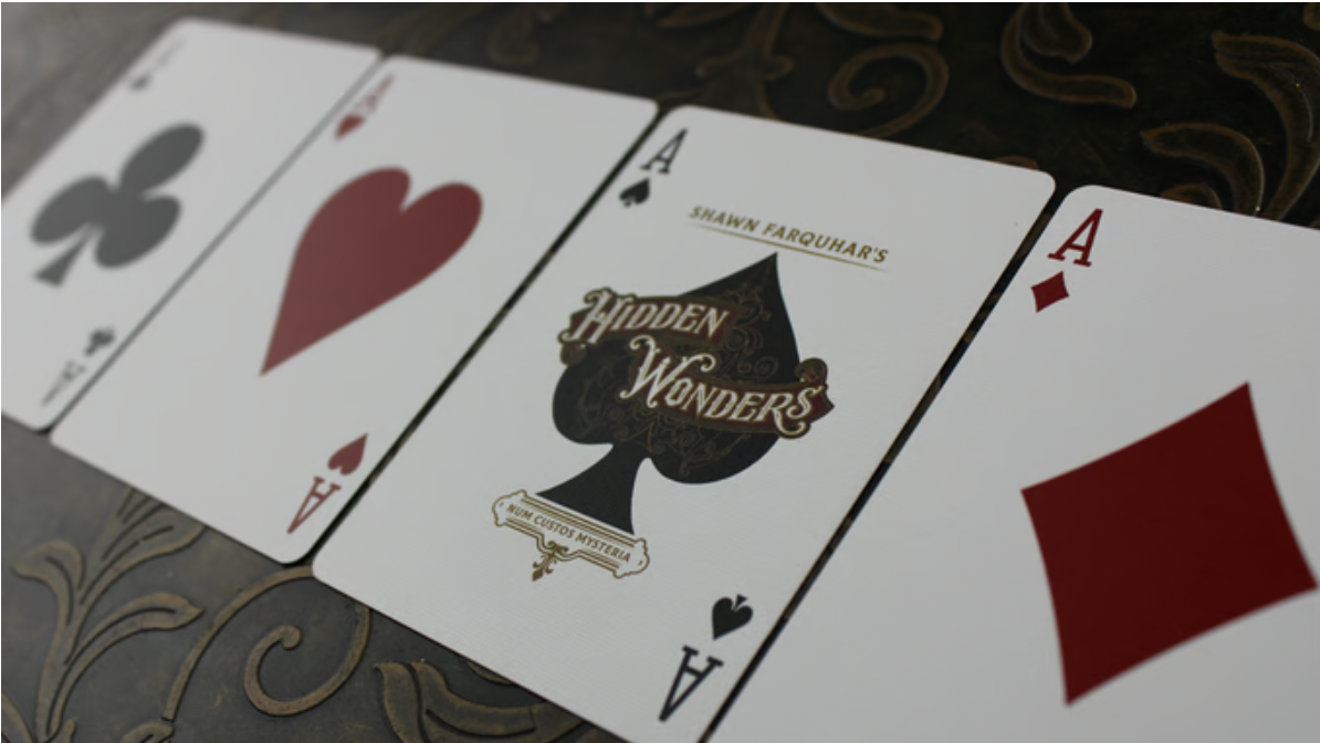 Hidden Wonders Scarlet Playing Cards